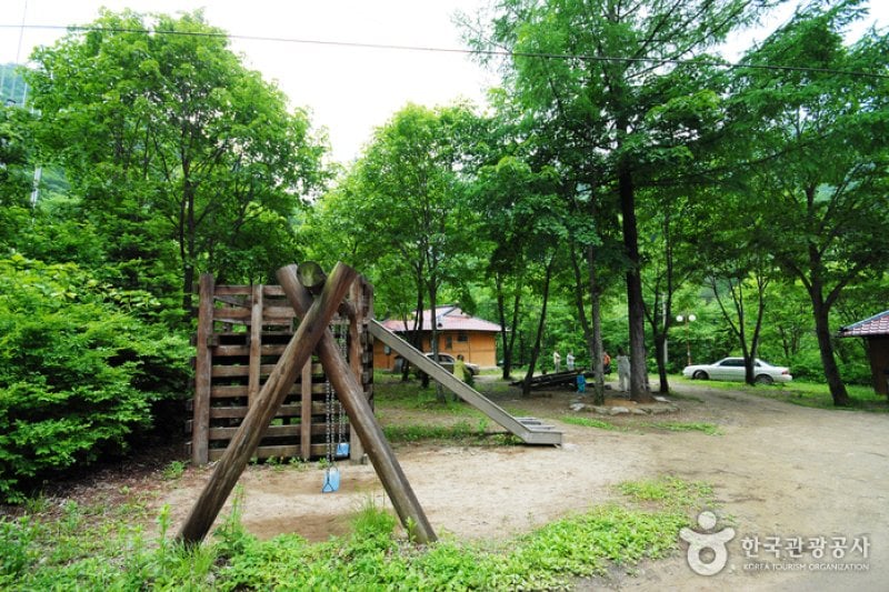 Sambong Recreational Forest  (7/11)