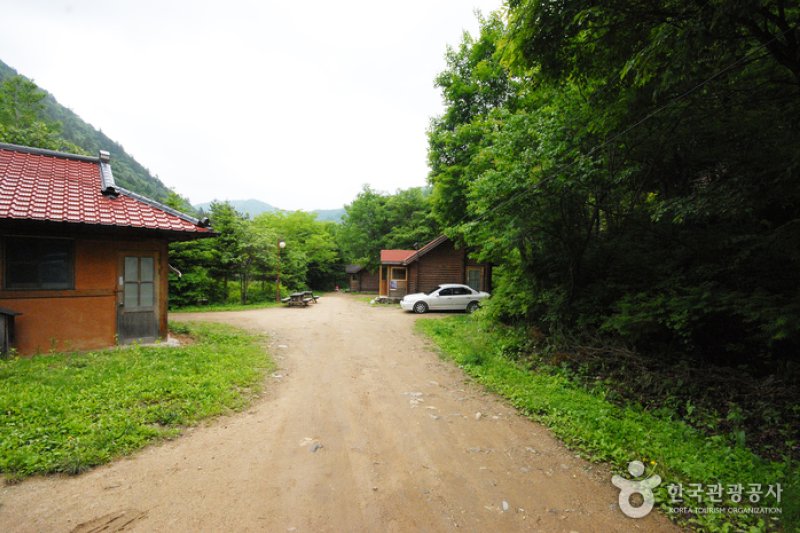 Sambong Recreational Forest  (8/11)