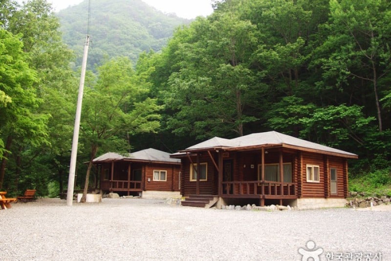 Micheongol Natural Recreation Forest  (2/12)