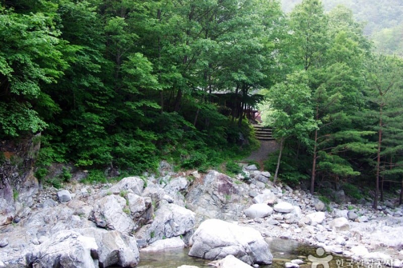 Micheongol Natural Recreation Forest  (3/12)