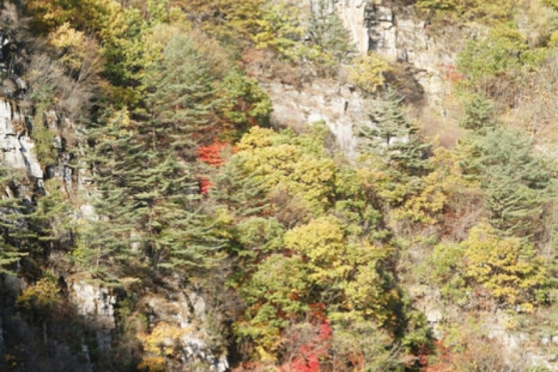 Sogeumgang River  (11/13)