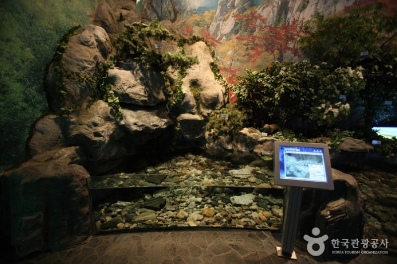 Pyeonghwa Dam Water Culture Center  (5/20)