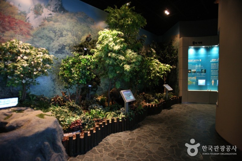 Pyeonghwa Dam Water Culture Center  (6/20)