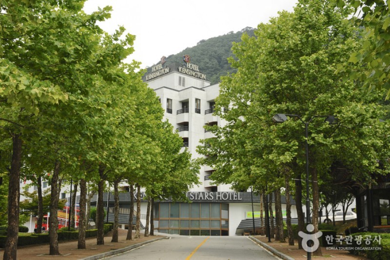 Kensington Stars Hotel  (26/37)