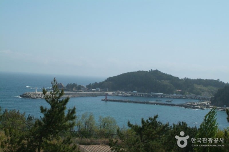 Janghohang Port  (3/5)