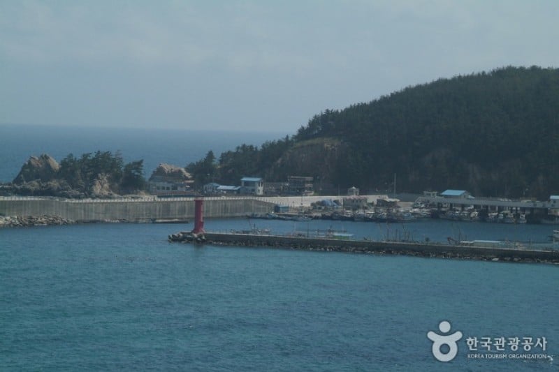 Janghohang Port  (5/5)