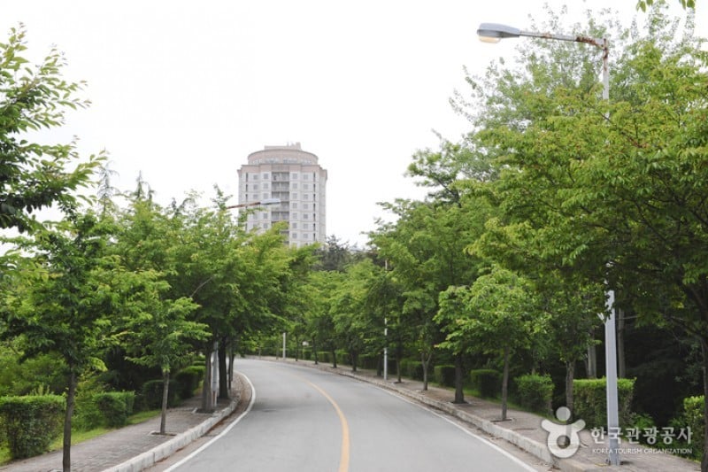 Youngrangho Resort  (17/19)