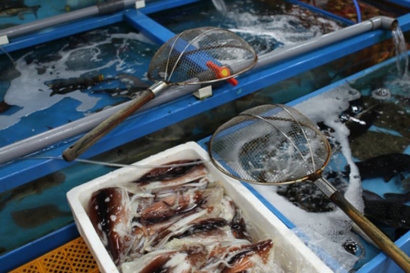 Jumunjin Seafood Market  (3/8)