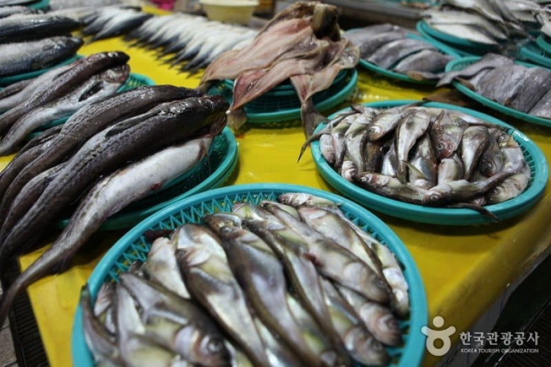 Jumunjin Seafood Market  (4/8)