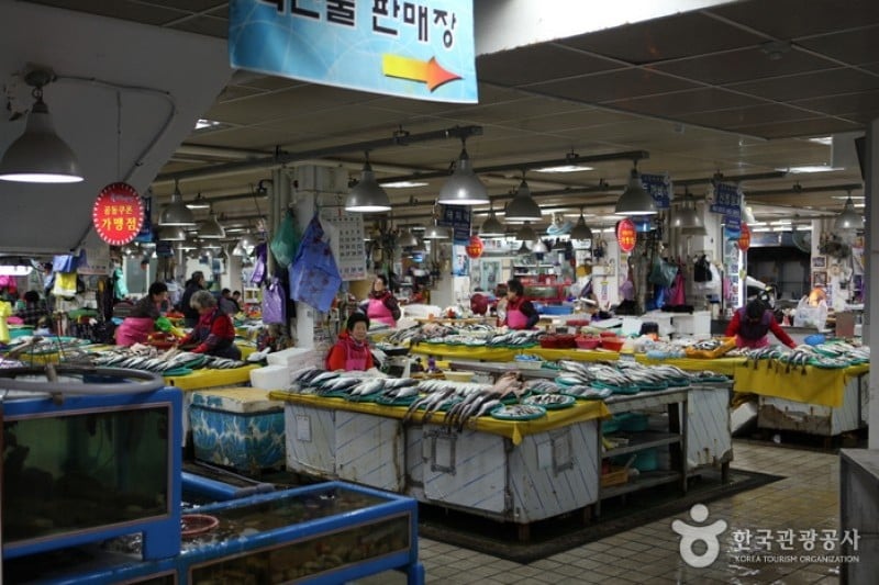 Jumunjin Seafood Market  (5/8)