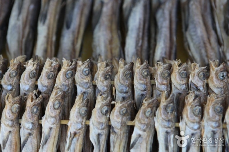 Jumunjin Seafood Market  (7/8)