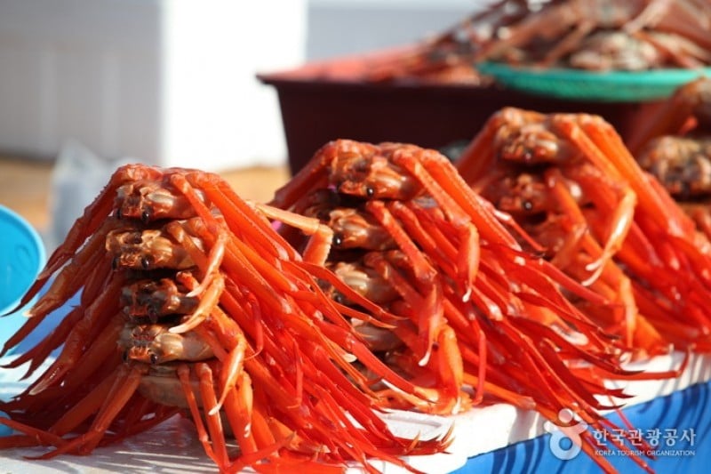 Jumunjin Seafood Market  (8/8)