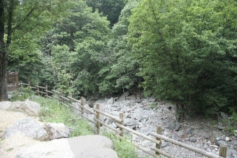Jipdarigol Recreation Forest  (11/11)