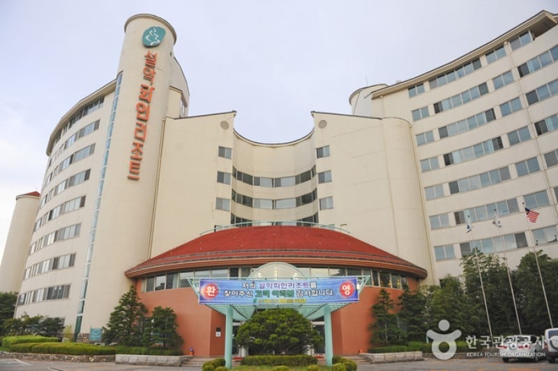 Seorak Pine Resort  (14/15)