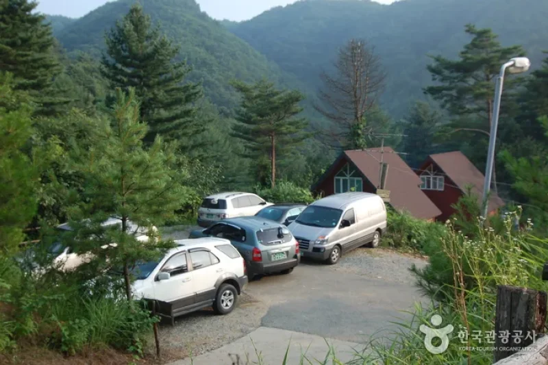 Jucheongang Riverside Recreation Forest  (6/35)