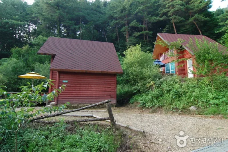 Jucheongang Riverside Recreation Forest  (12/35)