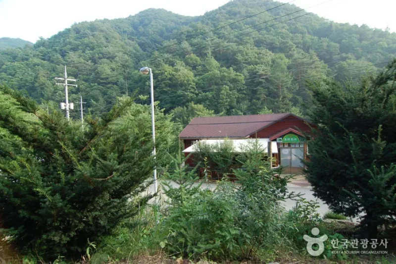 Jucheongang Riverside Recreation Forest  (13/35)