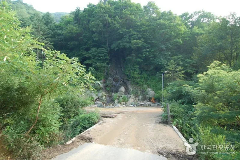Jucheongang Riverside Recreation Forest  (17/35)