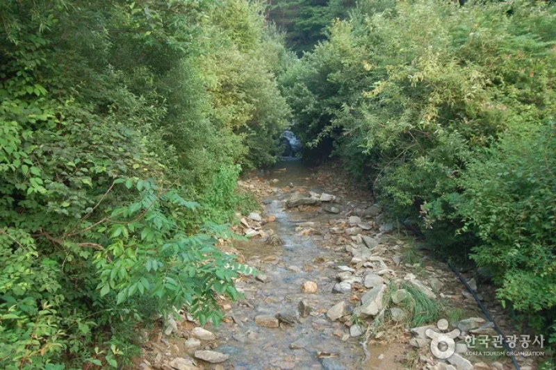 Jucheongang Riverside Recreation Forest  (18/35)