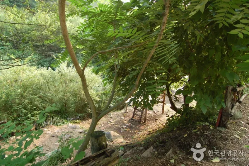 Jucheongang Riverside Recreation Forest  (21/35)