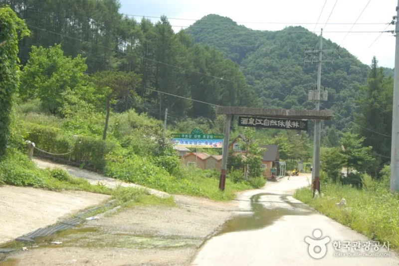 Jucheongang Riverside Recreation Forest  (26/35)