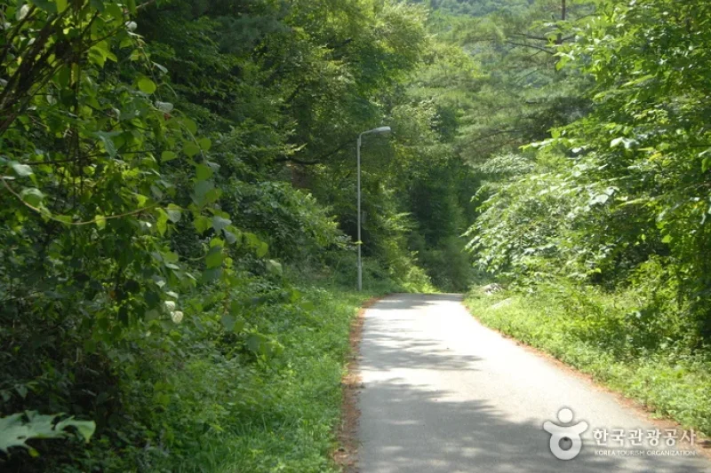 Jucheongang Riverside Recreation Forest  (28/35)