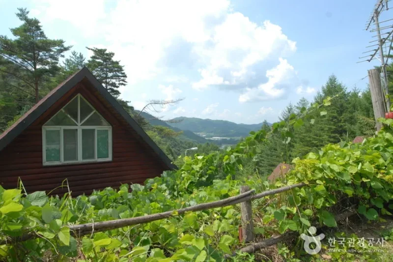 Jucheongang Riverside Recreation Forest  (29/35)