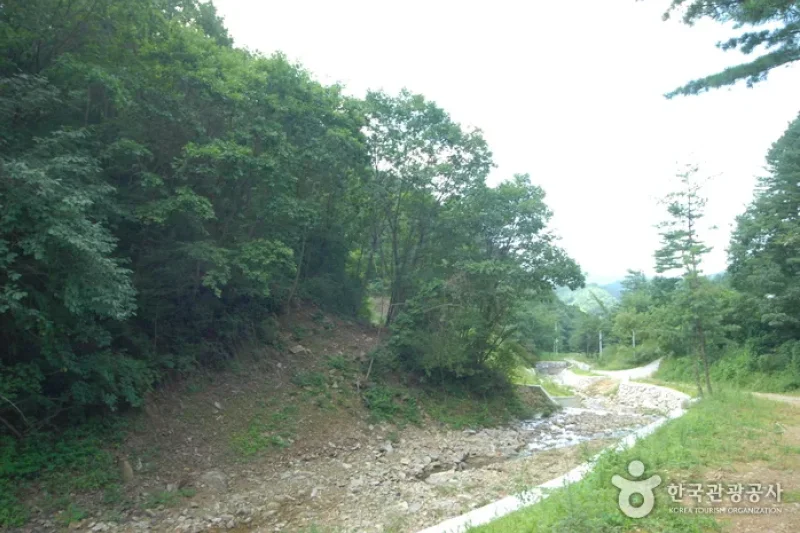 Jucheongang Riverside Recreation Forest  (30/35)