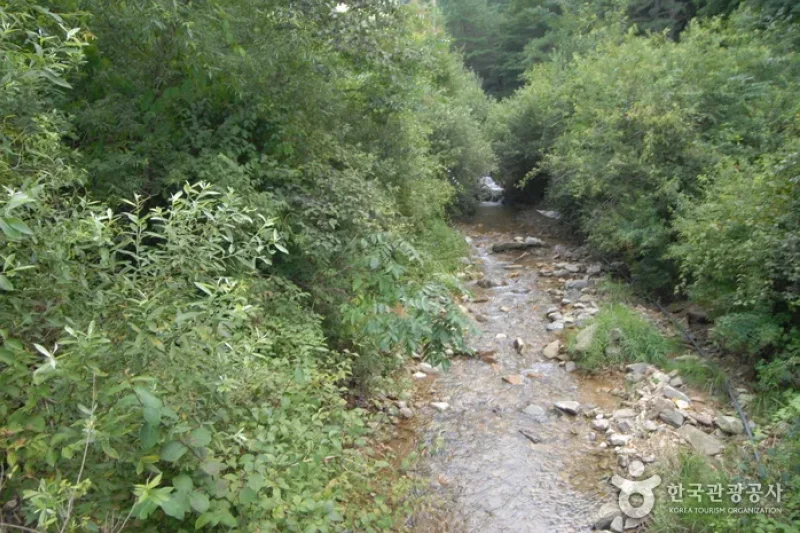 Jucheongang Riverside Recreation Forest  (31/35)