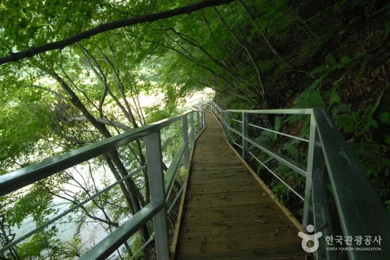 Jucheongang Riverside Recreation Forest  (34/35)