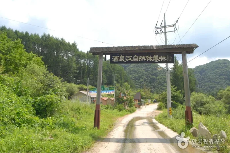 Jucheongang Riverside Recreation Forest  (35/35)