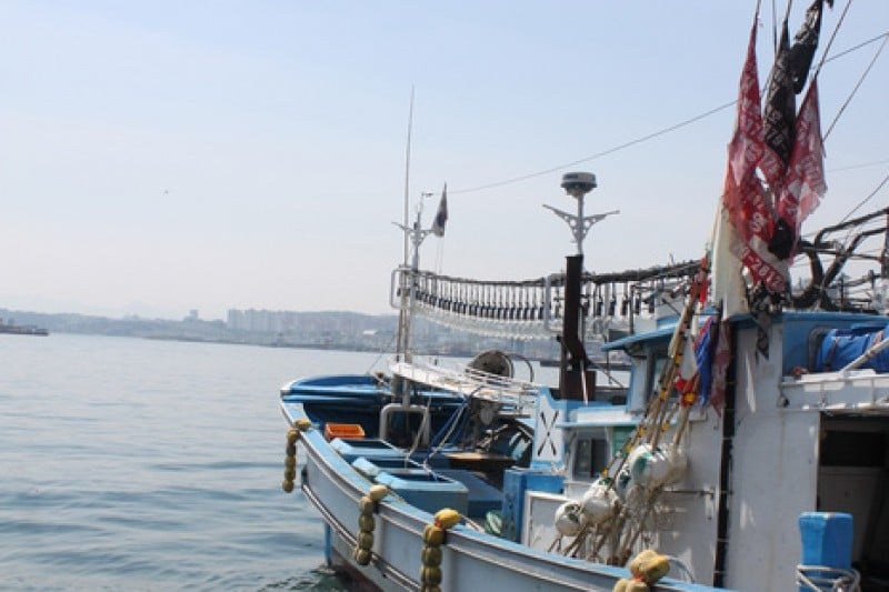 Mukho Port  (3/7)