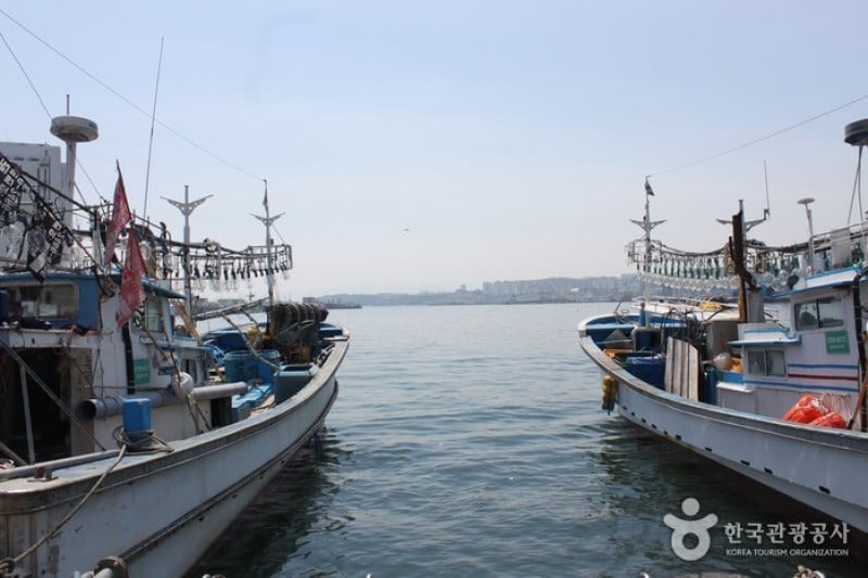 Mukho Port  (4/7)