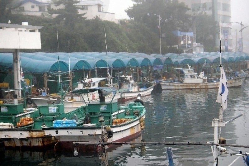 Mukho Port  (5/7)