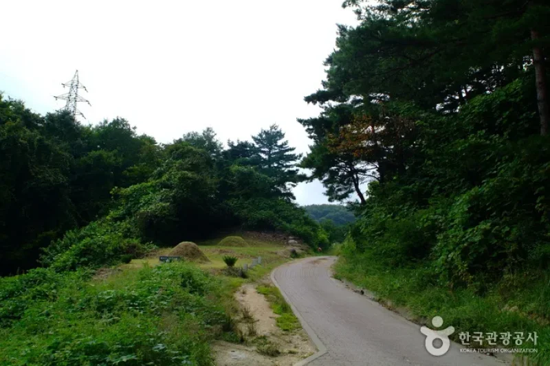 Old Daegwallyeong Road  (3/5)
