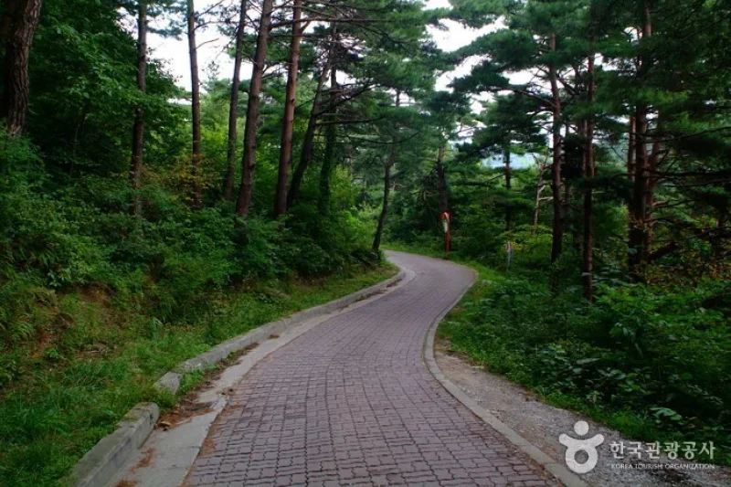 Old Daegwallyeong Road  (4/5)