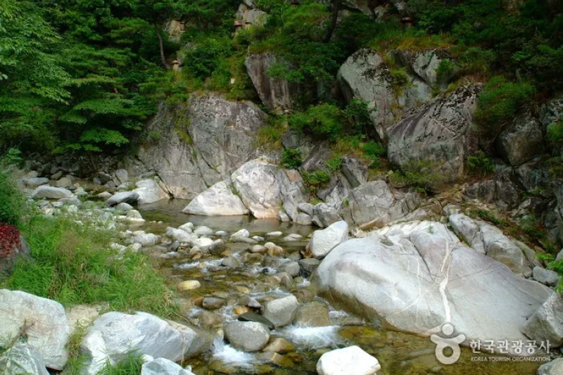 Old Daegwallyeong Road  (5/5)