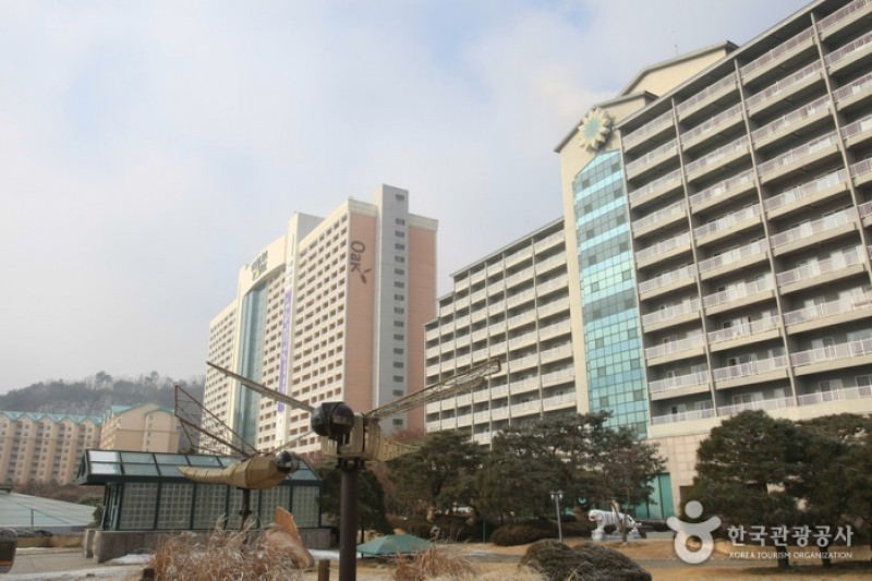 Daemyung Resort Vivaldi Park  (1/10)