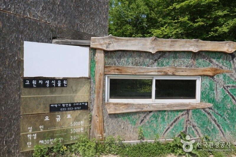 Taebaek Guwau Village  (5/5)