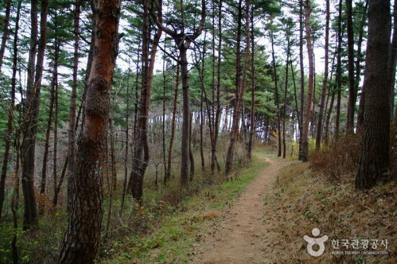 Mangyeongdae Pavilion  (4/6)