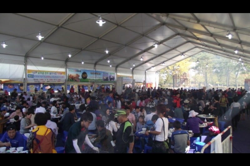 Hongcheon Ginseng Hanu Myeongpum Festival  (4/7)