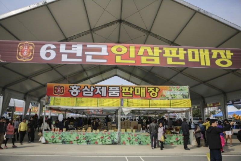 Hongcheon Ginseng Hanu Myeongpum Festival  (6/7)