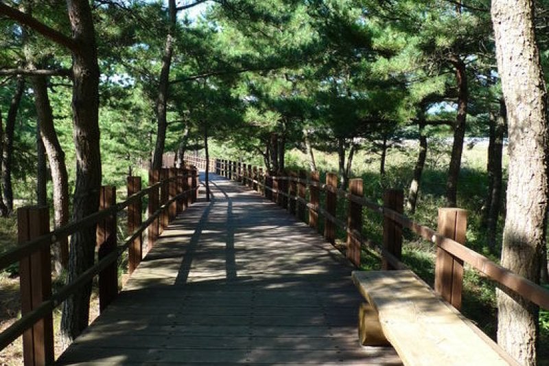 Osan-ri Prehistory Museum  (6/43)