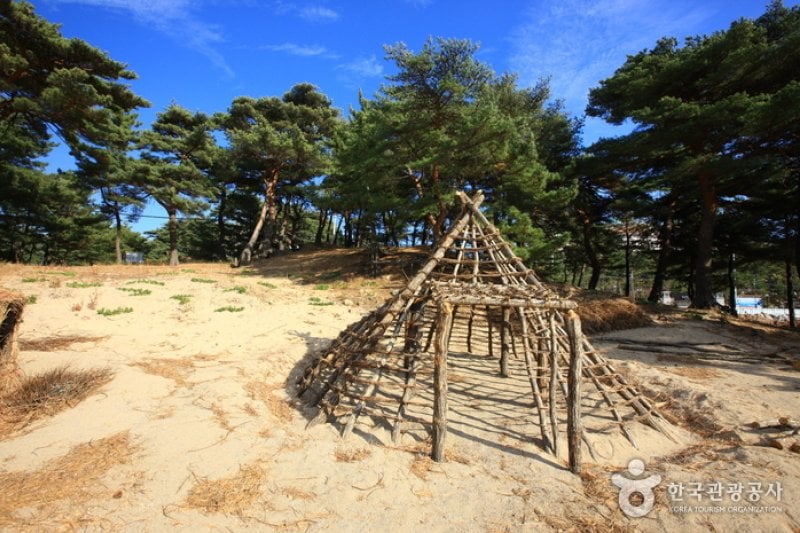 Osan-ri Prehistory Museum  (38/43)