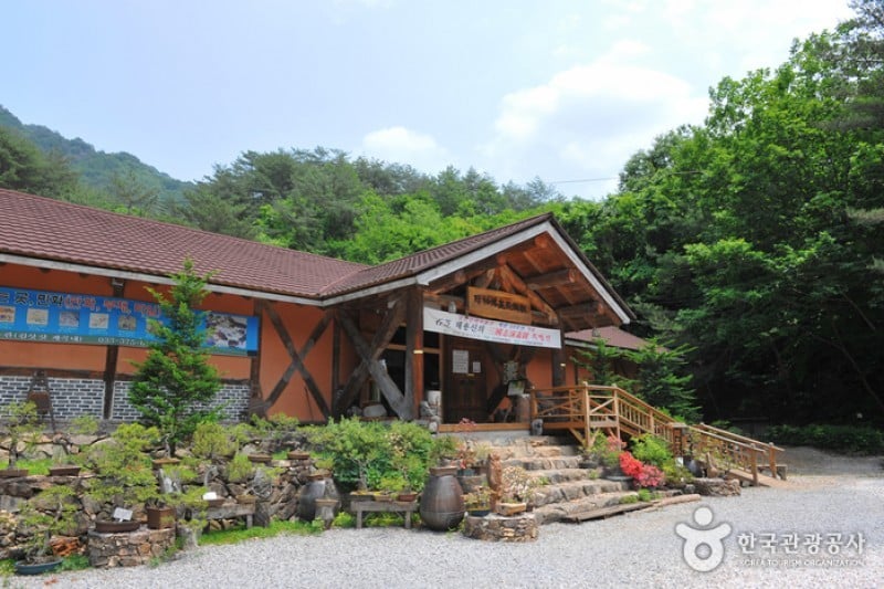 Chosun Minhwa Museum  (7/7)
