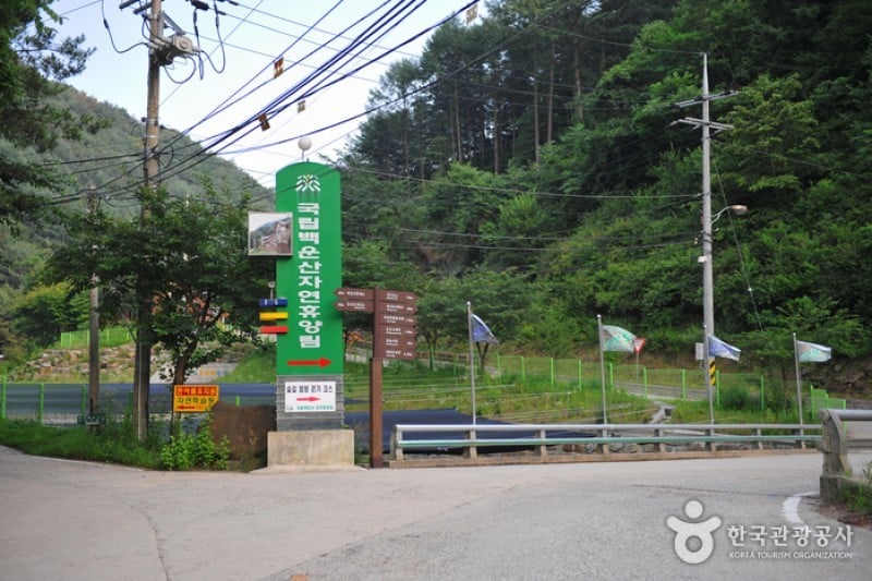 Baegunsan Recreational Forest  (2/3)