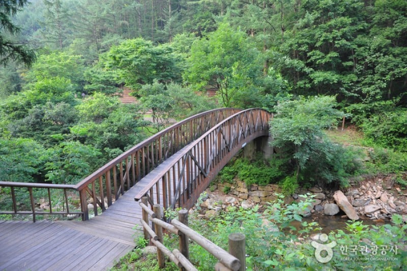 Baegunsan Recreational Forest  (3/3)