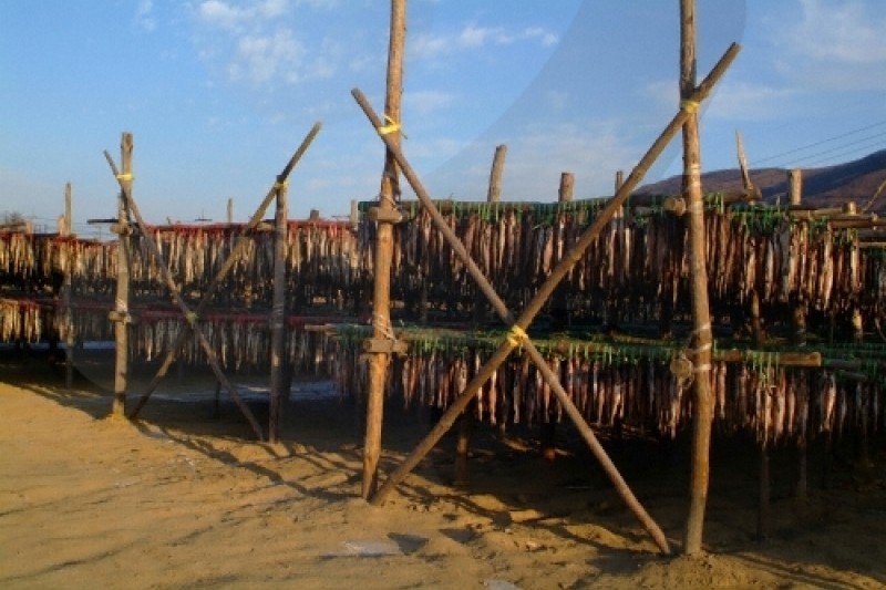 Yongdaeri Hwangtae Festival  (7/7)
