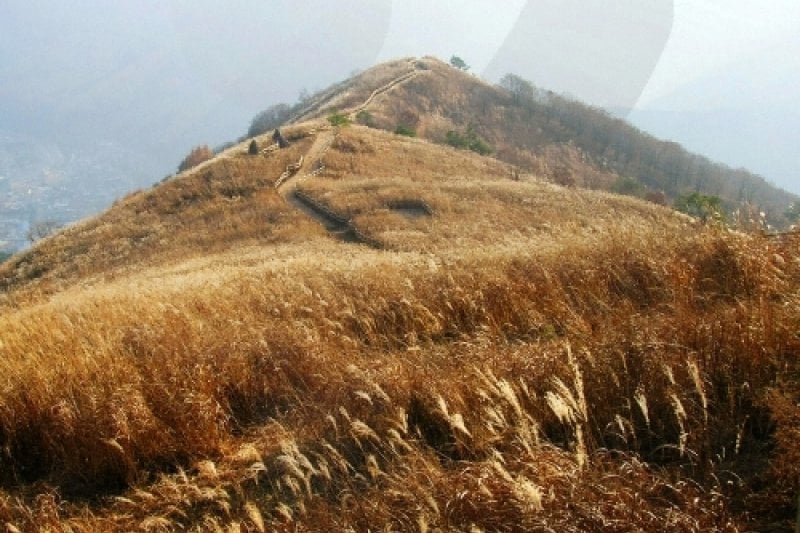 Mindung Mountain Eulalia Festival 