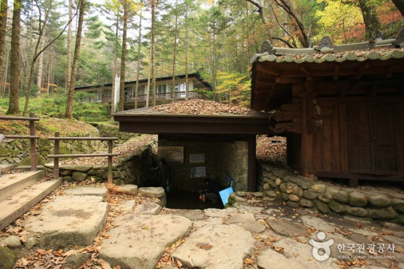 Bangadari Mineral Spring  (4/18)